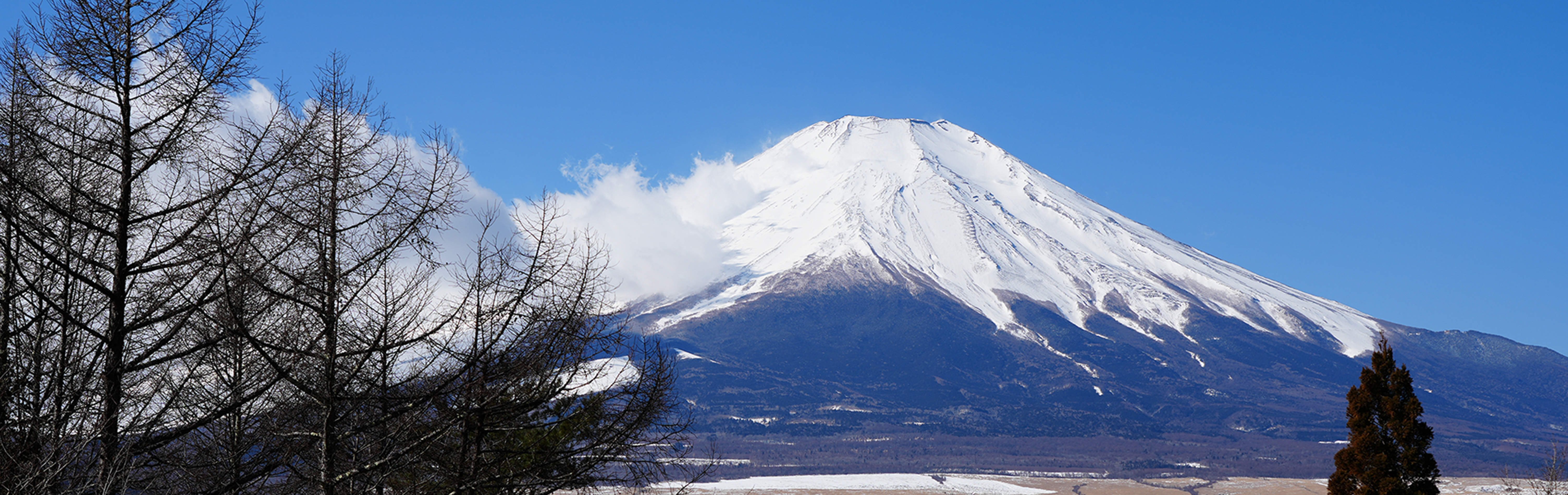 富士山